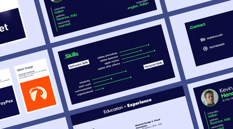 15+ Best Resume & CV Video Templates